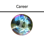 Career